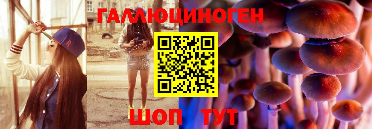 Галлюциногенные грибы мицелий  Вход с VPN  Галлюциногенные грибы Psilocybine cubensis  Мирный 